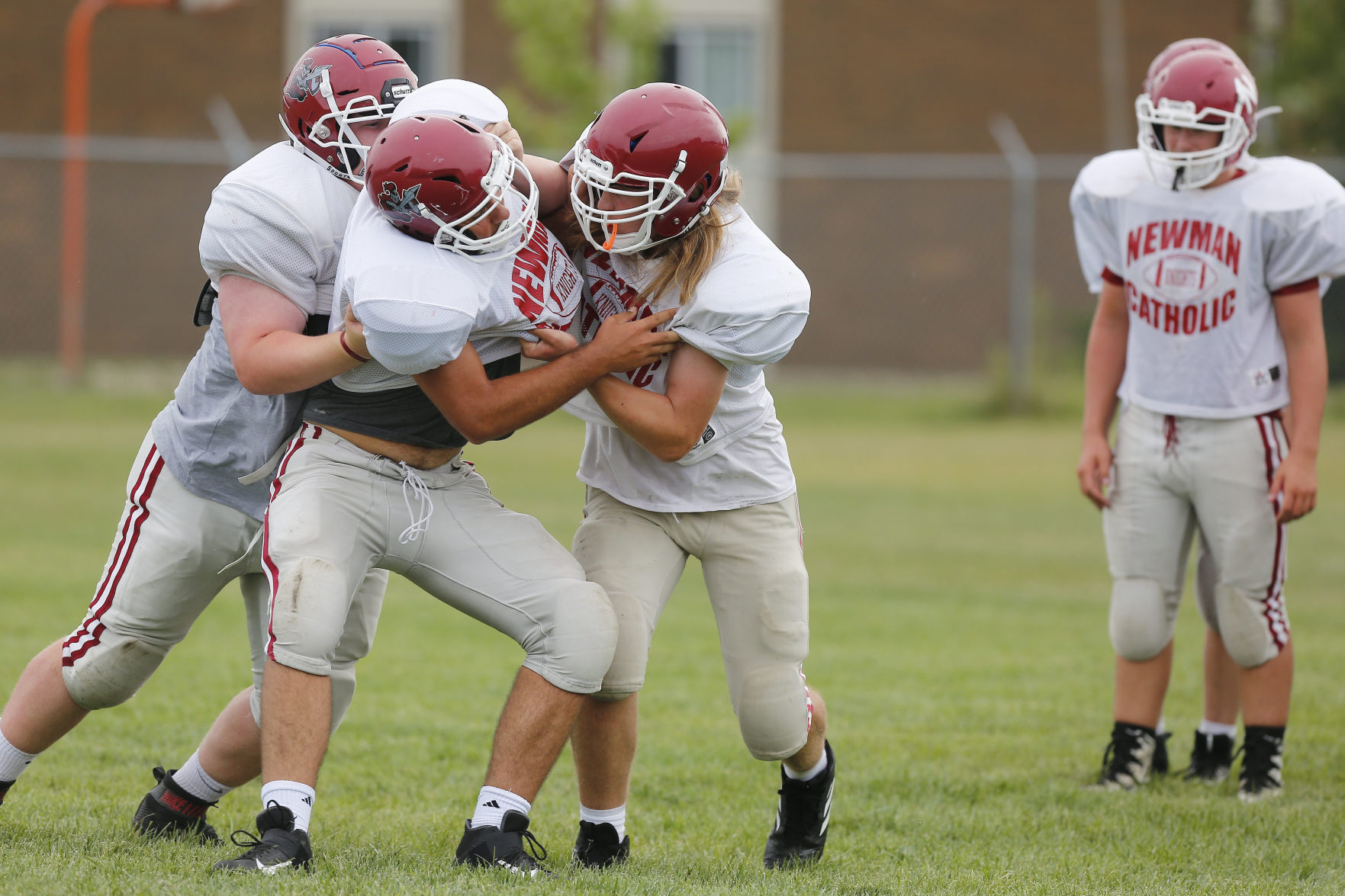 Newman FB 02